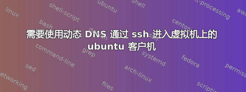 需要使用动态 DNS 通过 ssh 进入虚拟机上的 ubuntu 客户机