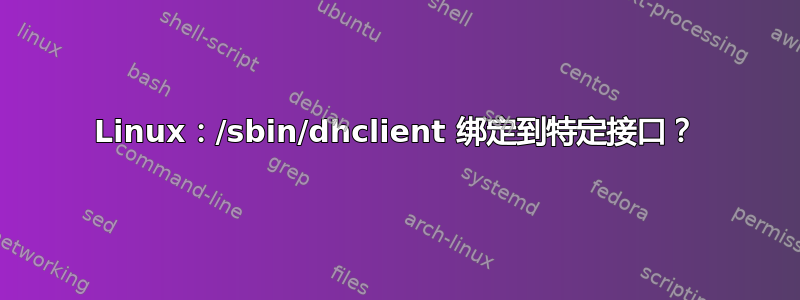 Linux：/sbin/dhclient 绑定到特定接口？