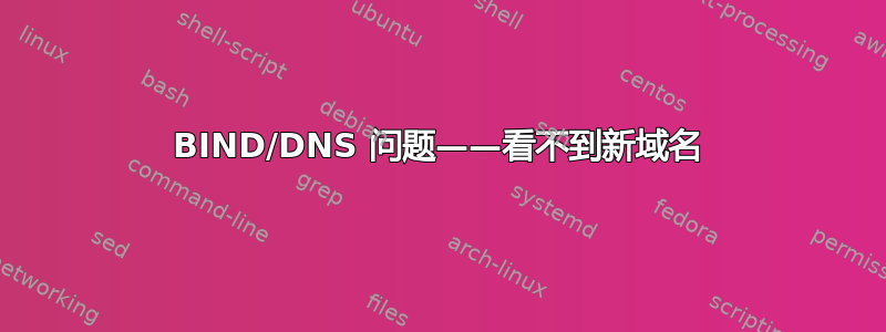 BIND/DNS 问题——看不到新域名