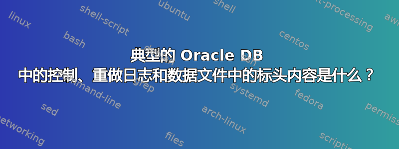 典型的 Oracle DB 中的控制、重做日志和数据文件中的标头内容是什么？