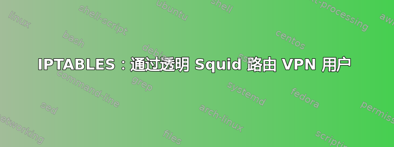 IPTABLES：通过透明 Squid 路由 VPN 用户