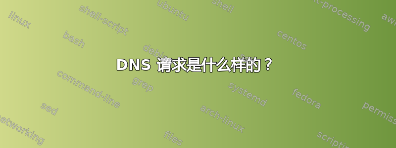 DNS 请求是什么样的？