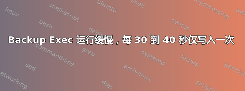 Backup Exec 运行缓慢，每 30 到 40 秒仅写入一次