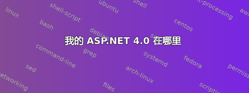 我的 ASP.NET 4.0 在哪里