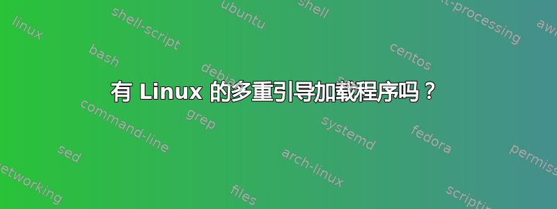 有 Linux 的多重引导加载程序吗？