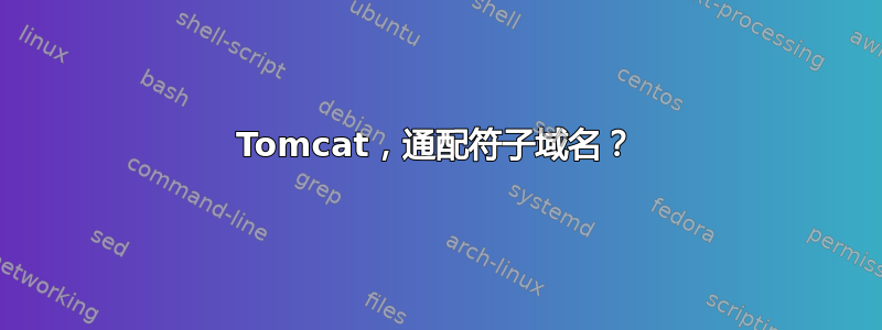 Tomcat，通配符子域名？