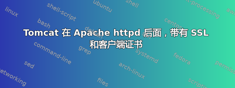 Tomcat 在 Apache httpd 后面，带有 SSL 和客户端证书