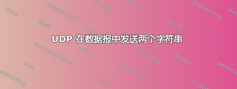 UDP 在数据报中发送两个字符串