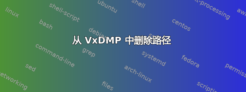 从 VxDMP 中删除路径