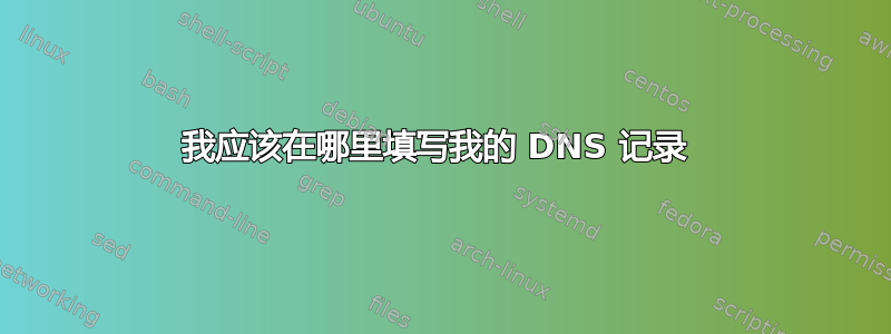 我应该在哪里填写我的 DNS 记录 