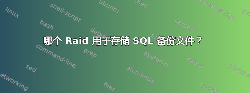 哪个 Raid 用于存储 SQL 备份文件？