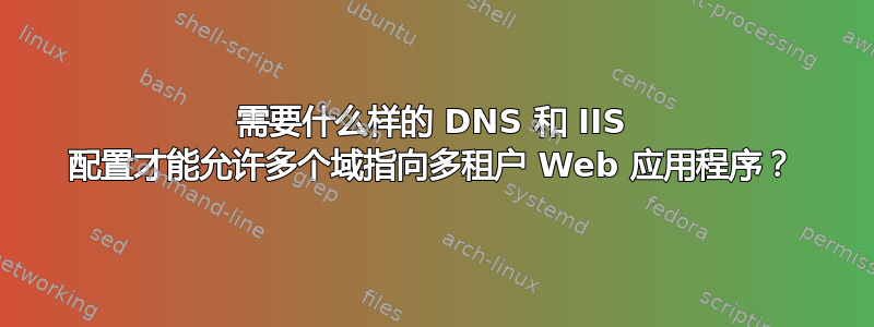 需要什么样的 DNS 和 IIS 配置才能允许多个域指向多租户 Web 应用程序？