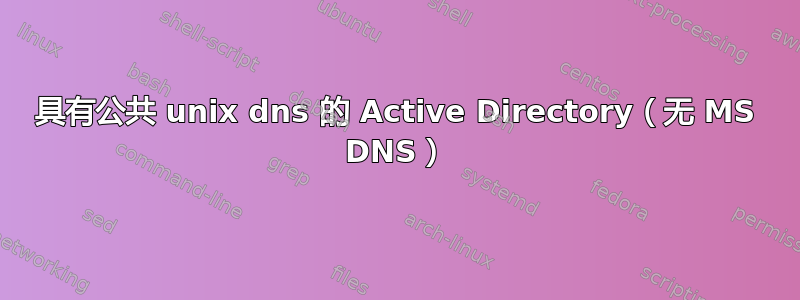 具有公共 unix dns 的 Active Directory（无 MS DNS）