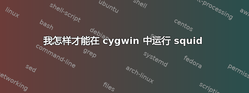 我怎样才能在 cygwin 中运行 squid