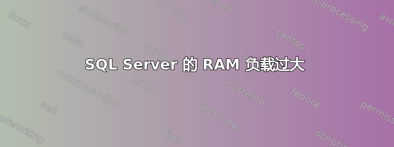 SQL Server 的 RAM 负载过大