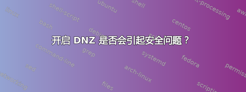 开启 DNZ 是否会引起安全问题？