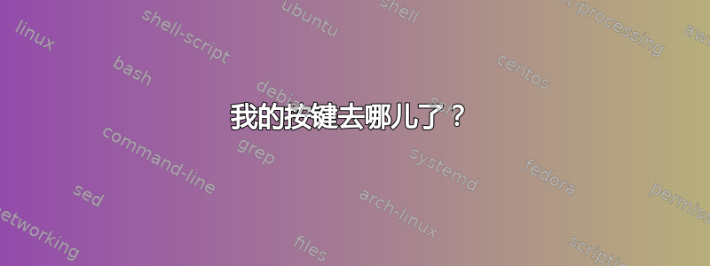 我的按键去哪儿了？