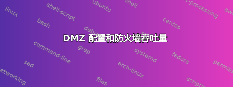 DMZ 配置和防火墙吞吐量