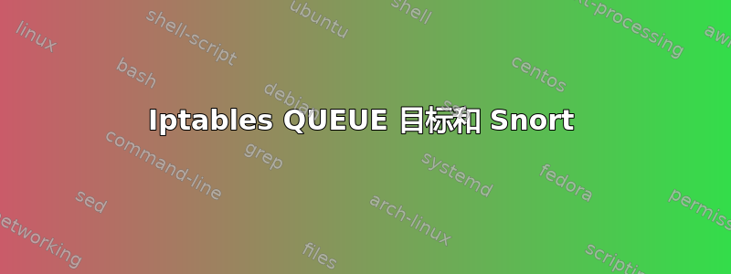 Iptables QUEUE 目标和 Snort