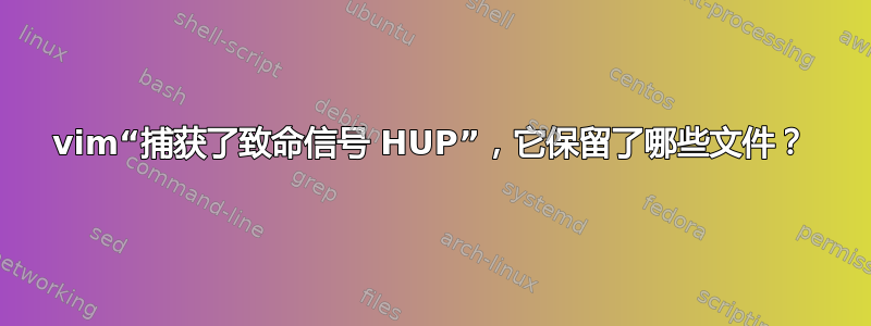 vim“捕获了致命信号 HUP”，它保留了哪些文件？