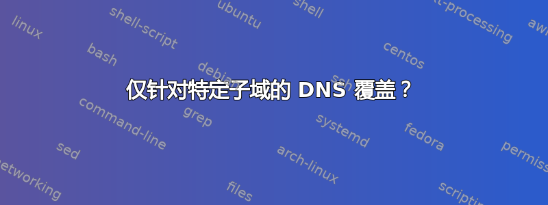 仅针对特定子域的 DNS 覆盖？