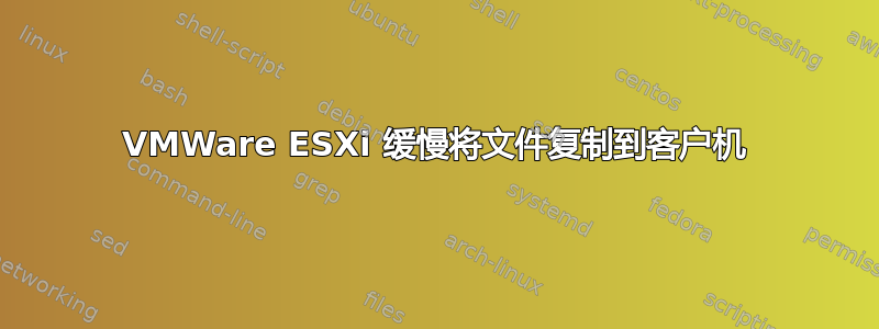 VMWare ESXi 缓慢将文件复制到客户机