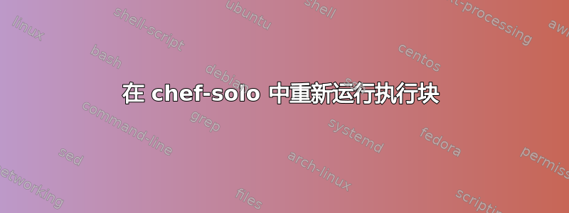 在 chef-solo 中重新运行执行块