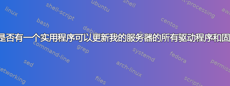 戴尔是否有一个实用程序可以更新我的服务器的所有驱动程序和固件？