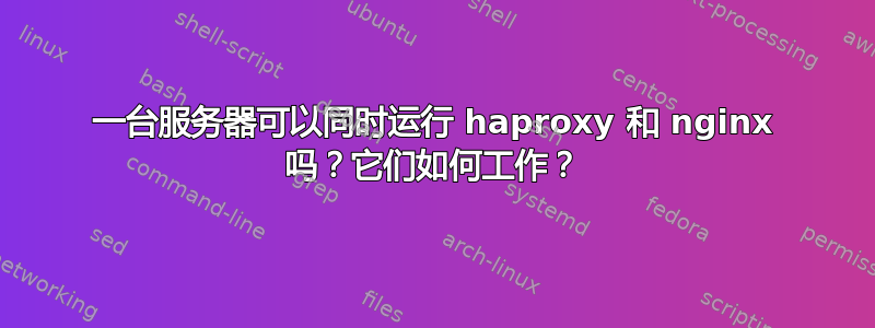 一台服务器可以同时运行 haproxy 和 nginx 吗？它们如何工作？