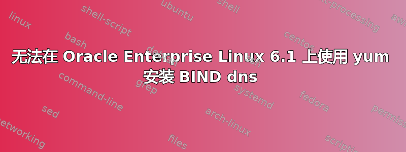 无法在 Oracle Enterprise Linux 6.1 上使用 yum 安装 BIND dns