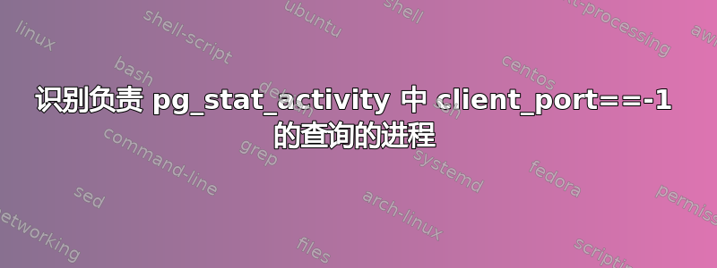 识别负责 pg_stat_activity 中 client_port==-1 的查询的进程