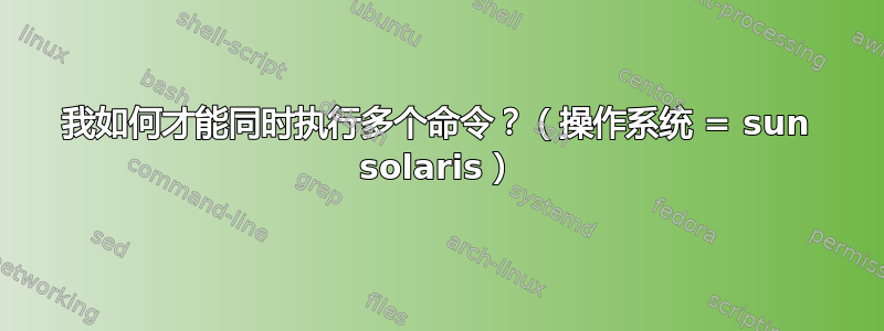 我如何才能同时执行多个命令？（操作系统 = sun solaris）