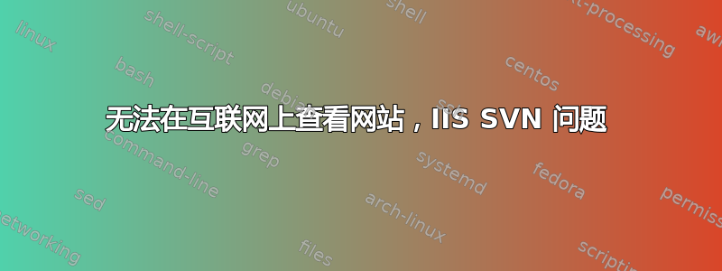 无法在互联网上查看网站，IIS SVN 问题