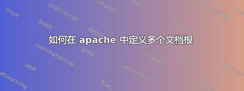 如何在 apache 中定义多个文档根