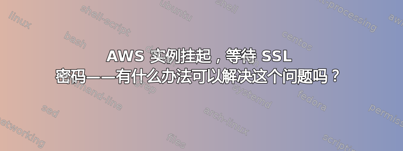 AWS 实例挂起，等待 SSL 密码——有什么办法可以解决这个问题吗？