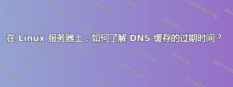 在 Linux 服务器上，如何了解 DNS 缓存的过期时间？