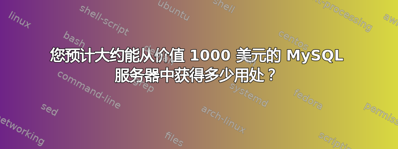 您预计大约能从价值 1000 美元的 MySQL 服务器中获得多少用处？