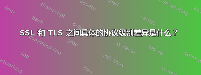 SSL 和 TLS 之间具体的协议级别差异是什么？