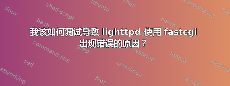 我该如何调试导致 lighttpd 使用 fastcgi 出现错误的原因？