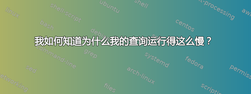 我如何知道为什么我的查询运行得这么慢？