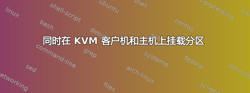 同时在 KVM 客户机和主机上挂载分区