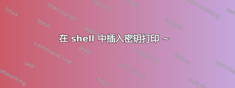 在 shell 中插入密钥打印 ~ 