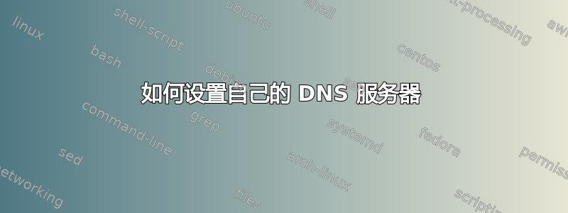 如何设置自己的 DNS 服务器