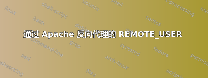 通过 Apache 反向代理的 REMOTE_USER