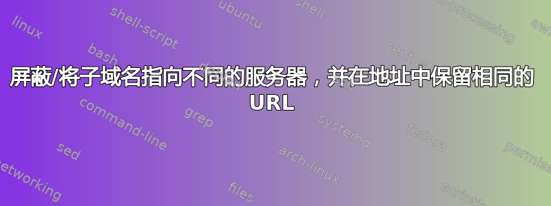 屏蔽/将子域名指向不同的服务器，并在地址中保留相同的 URL