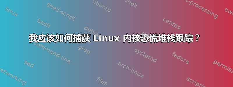 我应该如何捕获 Linux 内核恐慌堆栈跟踪？