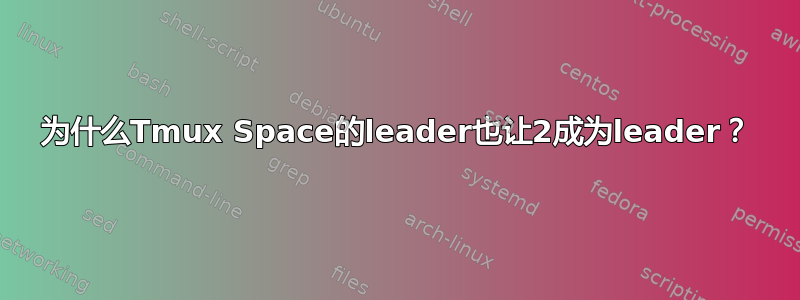 为什么Tmux Space的leader也让2成为leader？