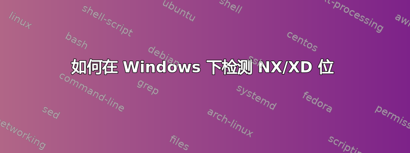 如何在 Windows 下检测 NX/XD 位