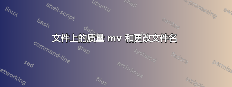 文件上的质量 mv 和更改文件名