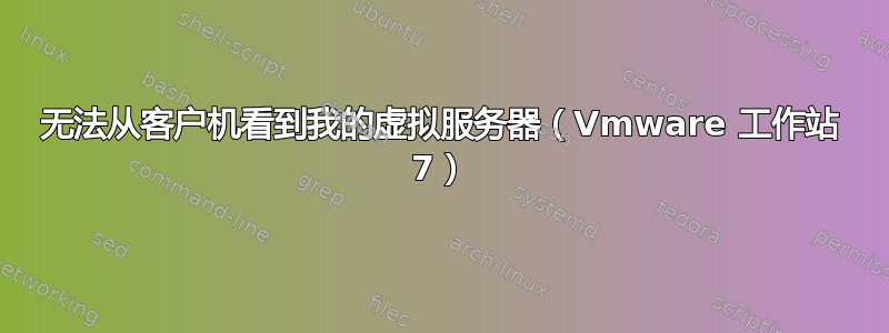 无法从客户机看到我的虚拟服务器（Vmware 工作站 7）